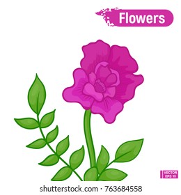 Purple abstract blooming flower.