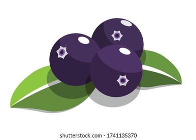 purple acai berry flat vector on white background