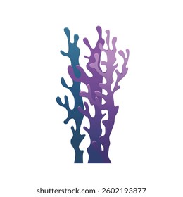 Purple algae. Underwater grass, aquarium seaweed. Vector illustration design element. 