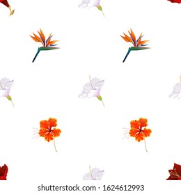 Purple Amaryllis. White Hibiscus. Orange Strelitzia Reginae. Orange Rose Mallow. Vector illustration. Seamless background pattern. Floral botanical flower. Wild leaf wildflower isolated. Exotic.