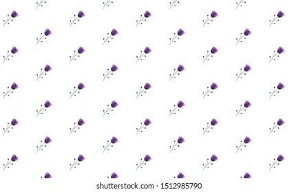 Purple Angelica Flower with Dots Pattern Background