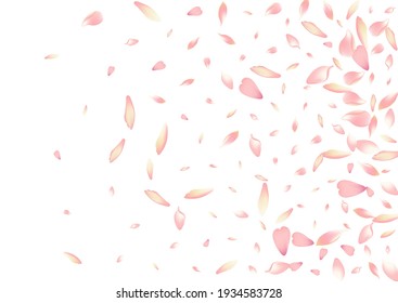 Purple Apple Petal Vector White Background. Pink Wallpaper Rose Petal Poster. Sakura Petal Bright Template. Japan Lotus Petal Frame.