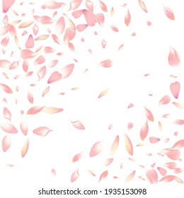 Purple Apple Petal Vector White Background. Pink Wallpaper Rose Petal Poster. Sakura Petal Bright Template. Japan Lotus Petal Frame.