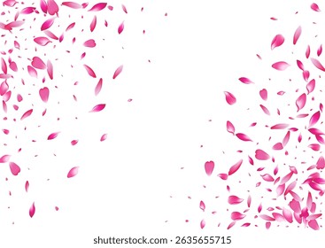 Purple Apple Petal Vector White Background. Transparent Summer Lotus Petal Illustration. Flower Petal Beauty Card. Flying Cherry Petal Banner.