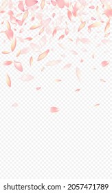 Purple Apple Vector Transparent Background. Bloom Springtime Congratulation. Peach Blur Banner. Blossom 3d Card. Light Tree Wallpaper Texture.