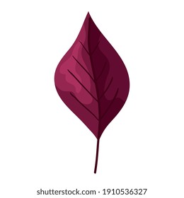 purple autumn leaf plant foliage icon vector illustration design