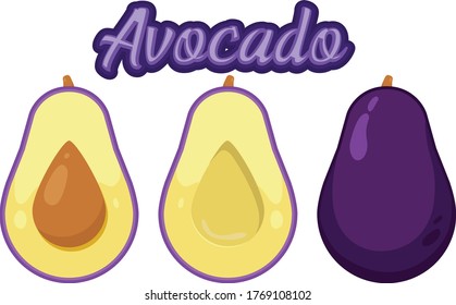 Purple Avocado fruit and two half with seed vector illustration 
