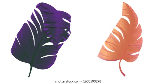 Purple Banana Leaf. Orange Tropical Leaf. Vector illustration. Isolated illustration element. Floral botanical flower. Wild leaf wildflower isolated. Exotic tropical hawaiian jungle.