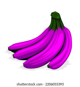 Vector de plátanos púrpura aislado en fondo blanco