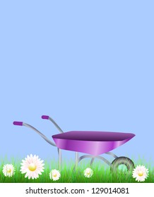 purple barrow in garden and daisies