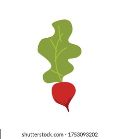 Purple beet cartoon style vector illustration. Autumn harvest time concept with fresh ripe organic vegetable. Farming, eco, food market design template