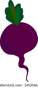 remolacha morada, ilustración, vector sobre fondo blanco.