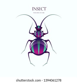 Purple beetle on a white background. Striped purple beetle.