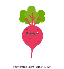 Purple beetroot. healthy fruit for health care lovers