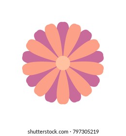 Purple and beige color flower vector isolated on white background.