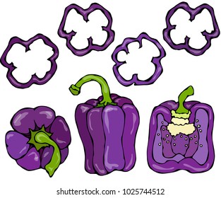 Purple Bell Peper Set. Half of Violet Sweet Paprika and Rings of Pepper Cuts. Fresh Ripe Raw Vegetables. Healthy Vegan Cuisine. Vector Illustration Hand Draw. Savoyar Doodle Style.