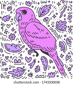 purple bird . bird doodle vector 