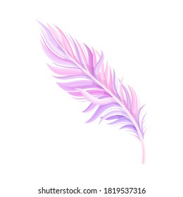 Purple Bird Feather with Nib as Avian Plumage Vector Illustration