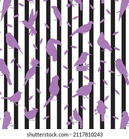 purple bird patterns on black and white lines, vector