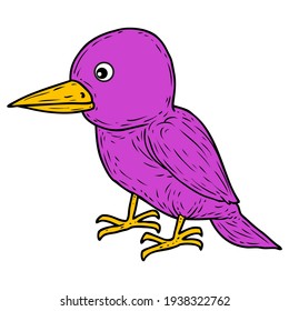 purple bird vector illustration,
isolated on white background.top view