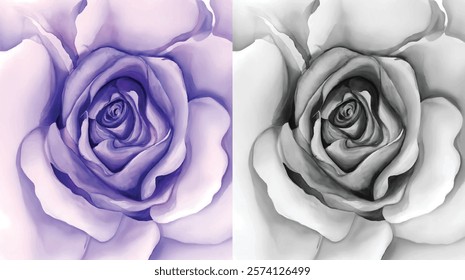 Purple and Black-White Rose Vector, Elegant Floral Design.