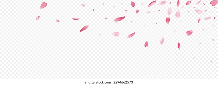 Purple Blooming Vector Panoramic Transparent Background. Lotus Springtime Banner. Petal Wallpaper Poster. Sakura Nature Pattern. Bright Confetti Aroma Congratulation.