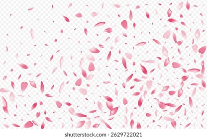 Purple Blooming Vector Transparent Background. Heart Garden Texture. Rose Isolated Banner. Flower Falling Congratulation. Pink Bloom Down Design.