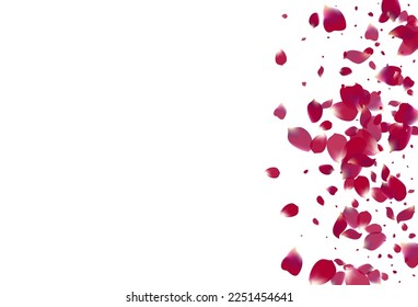 Purple Blossom Tender Vector White Background. Summer Rose Cover. Delicate Flower Fly Wallpaper. Beautiful Sakura Flying Backdrop.