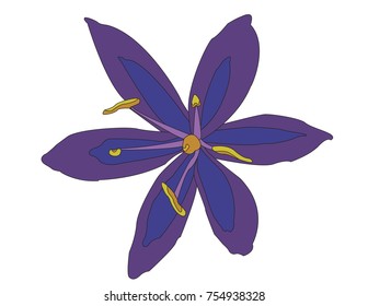 Purple and Blue flower
