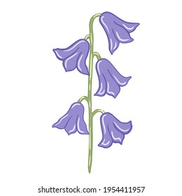 Purple bluebells isolated on white background. Beautiful hand drawn botanical sketches for any purpose. Design vector illustration.