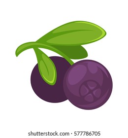 Purple blueberry realistic vector illustration. Healthy berries isolated on white background. Organic edible round berry in cartoon style design. Ripe juicy blueberries with green leaves.