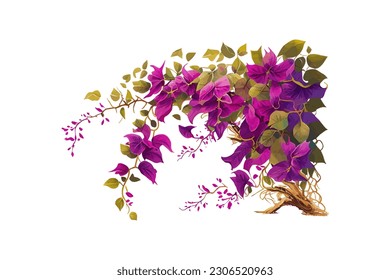 Purple Bougainvillea tropical flower bush climbing. Vector illustration desing. svg
