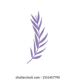 purple branch leaves foliage nature icon on white background vector illustration