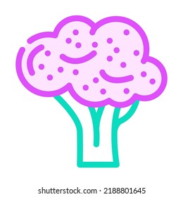 purple broccoli color icon vector. purple broccoli sign. isolated symbol illustration