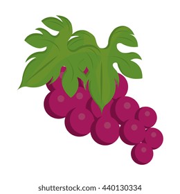 purple bunch of gapes front view over isolated background,vector illustration