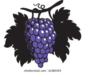 Purple Bunch of Grapes