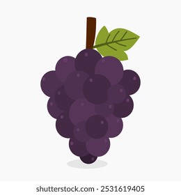 Manojo púrpura de Ilustración vectorial de uvas aislado sobre fondo blanco
