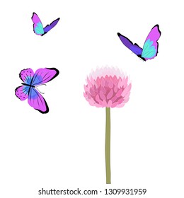 Purple butterflies flying around allium flower vector isolated