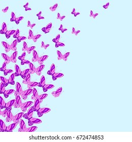 Purple butterflies vector pattern. Vector illustration.