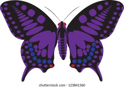 Purple Butterfly