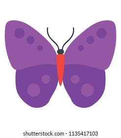 
A purple butterfly with purple dots making the icon for diggy skipper
