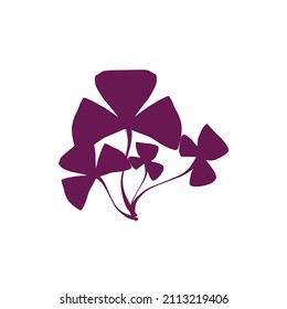 vector de flor de mariposa púrpura, Oxalis triangularis