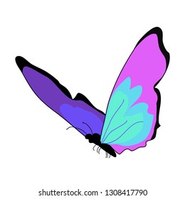 Purple butterfly flying vector isolated