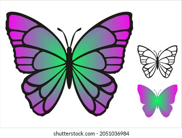 purple butterfly set. isolated on a white background