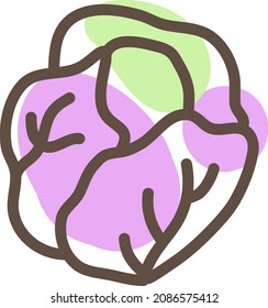Purple cabbage, illustration, vector, on a white background.
