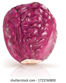 Purple cabbage on a white background. Vector mesh illustration
