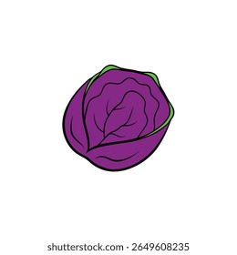 Purple cabbage sliced in half bold vibrant flat veggie art Vector illustration