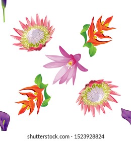 Purple Calla. Pink Protea. Orange Heliconia. Purple Hatiora. Vector illustration. Seamless background pattern. Floral botanical flower. Wild leaf wildflower isolated. Exotic tropical hawaiian.