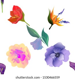 Purple Calla. Red Amaryllis. Orange Strelitzia. Yellow Magnolia. Violet Anemone. Purple Bllflower. Vector illustration. Seamless background pattern. Floral botanical flower. Wild leaf wildflower.