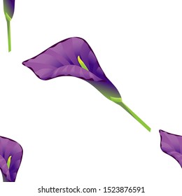 Purple Calla. Vector illustration. Seamless background pattern. Floral botanical flower. Wild leaf wildflower isolated. Exotic tropical hawaiian jungle. Fabric wallpaper print texture.